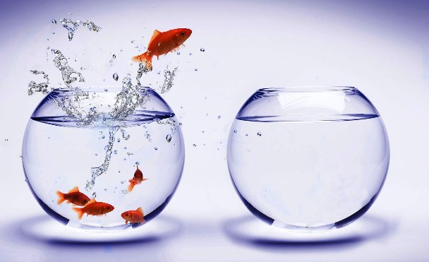 farkindalik-balik-akvaryum