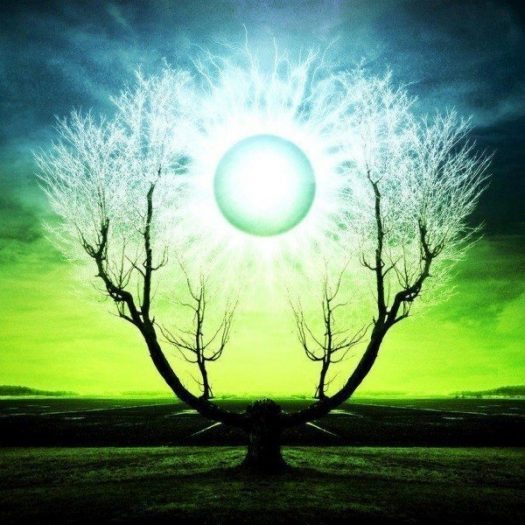 empati-indigodergisi