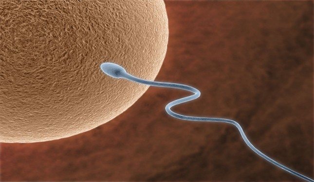 tüp bebek tedavisi sağlıklı sperm sayısını artırmak