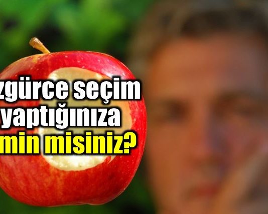 Verilmeyen seçenekler: Özgürce seçtiğinize emin misiniz?