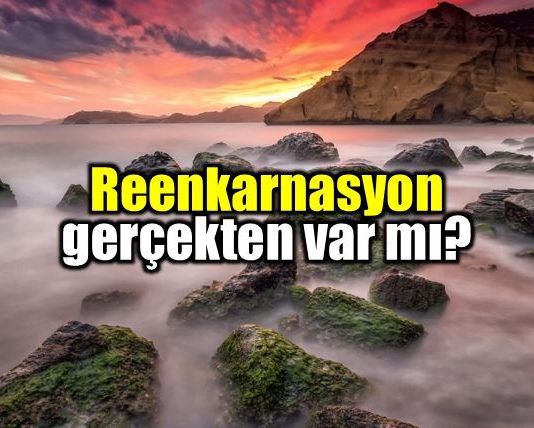 reenkarnasyon gerçek mi Doğumumuz uyku ve unutmaktan başka birşey değildir