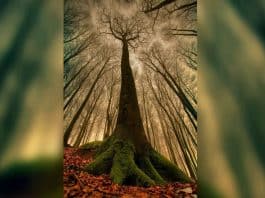 Cehennem başkalarıdır peki ya siz kimsiniz?