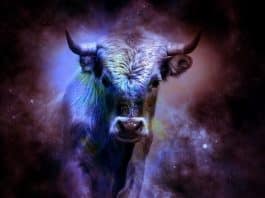 Boğa kültü sembolizm