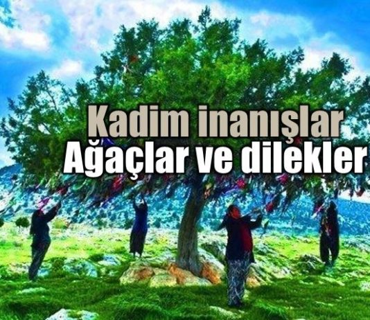 Dile benden ne dilersen: Ağaç ve dilekler