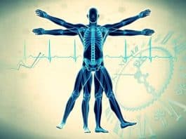 Biyolojik Saat: Kronobiyoloji nedir? chronobiology