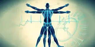Biyolojik Saat: Kronobiyoloji nedir? Biyolojik Saat: Kronobiyoloji nedir? chronobiology