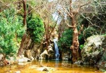 Şifa Bütünün Frekansını Taşımaksa