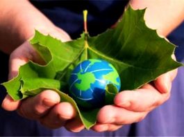 Alternatif enerji kaynakları: Yeşil enerji