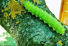 Umrumda değil!: Söyledim Gitti! – 1 Umrumda değil!: Söyledim Gitti! - 1