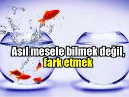Farkındalık nedir? Fark edersen fark yaratırsın!