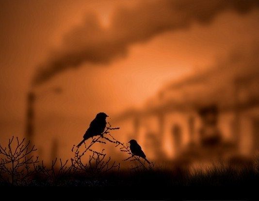 Aslında 'Tükenmiş Yamalar' Çaresiz