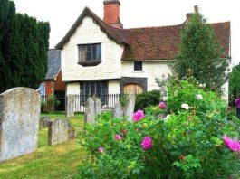 Peki O Yaşam Nerede? Binalar ve evler yeşillikler arasında planlanmıştı…