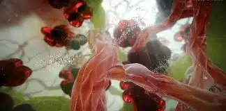 Kalp ve kanserden ölümler tarih olacak! Kalp ve kanserden ölümler tarih olacak!