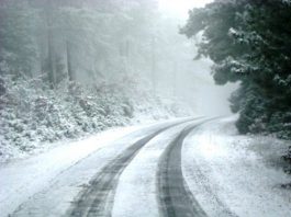 Bütünün havası, derdimin devası. Herkesin payına bir deva düşer.