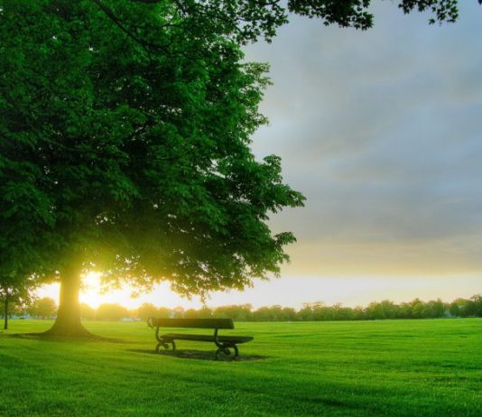 Yeni Bir Galaktik Gün Doğuyor: Ne Muhteşem!