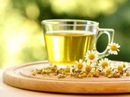 Papatyanın gözbebeğindeki zaman mefhumu