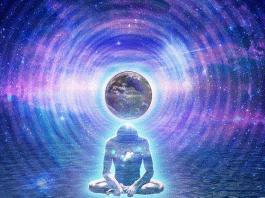 İnsan Bilinci Yaşamın Maestrosudur