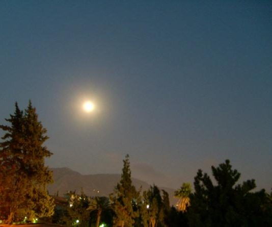 Beşeriyet Sonu: Arifler Bilgeler Çağı