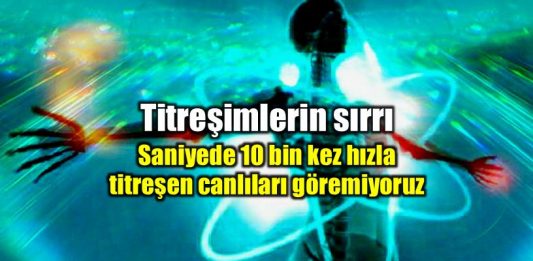 Titreşim frekanslar ve hayatımıza etkileri