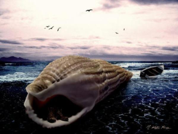 varoluş deniz kabuğu Bilinci sıçratmak: Tek kurtuluş sevgi