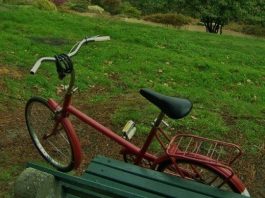 Jinto: Bir Büyümek Hikayesi - 1 - O kadar güçlü olmalı mıyım ki acaba?