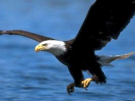 Sahip olmak ya da olmak, hepsi birer yanılgı