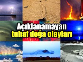 açıklanamayan tuhaf doğa olayları