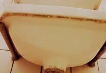 Kader mi ihmal mi? Biz orada olacağız! Ya siz? Biz Orada Olacağız! Ya Siz?