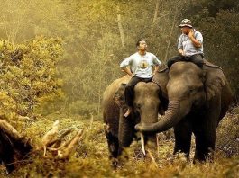 arkadaşlık sosyalleşme