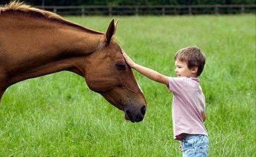 at ve çocuk