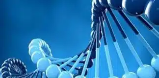 Genetik şifremiz: DNA kök hücre ve tüp bebek
