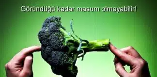 Gıda intoleransı: York Testi York Testi: Gıda intoleransı