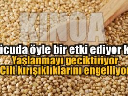 Kinoa: Yeni çağın mucize besini Quinoa