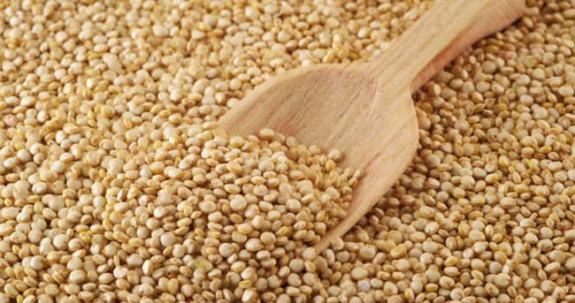 Kinoa: Yeni çağın mucize besini Quinoa