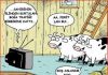 Ne İçin Kurban?