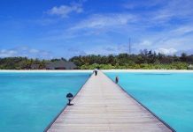 John Milton ve Kayıp Cennet