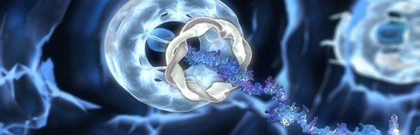 DNA through portal