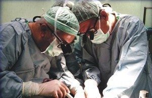 organ nakli karaciger transplantasyonu