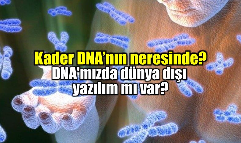 Kader DNA'nın neresinde? (1. Bölüm)
