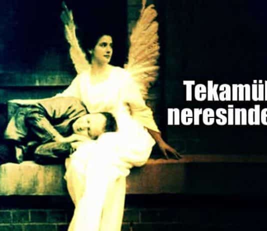 Tekamül nedir? Tekamülün neresindeyiz?