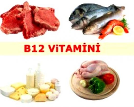 B12 Vitamininin Bedenimizdeki Mucizevi Yolculuğu