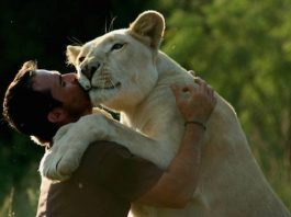 Ne güzeldir sevgi enerjisini anlamak
