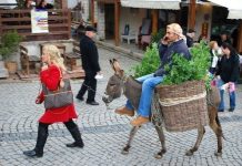 Alaçatı Ot Festivali