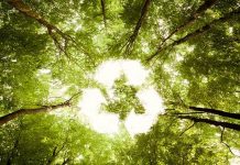 Geri dönüşüm oyunu marka