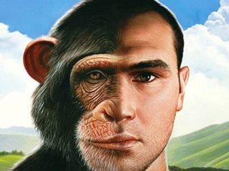 maymunlar ve insanlar-indigodergisi