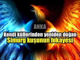 Simurg: Kendi küllerinden yeniden doğmak