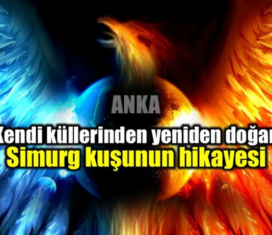 Simurg: Kendi küllerinden yeniden doğmak