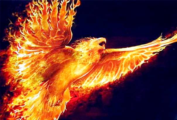 simurg-yeniden doğuş-indigodergisi