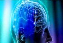 Renklerin içinden çiçeklerin özüne