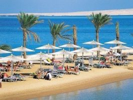 Terörün Türk turizmine etkileri üzerine çözümler